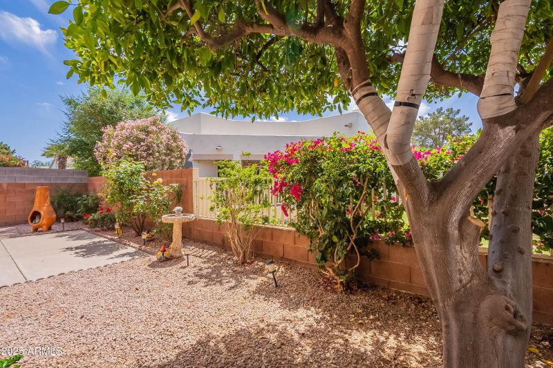 Back Yard Bordering Green Common Area