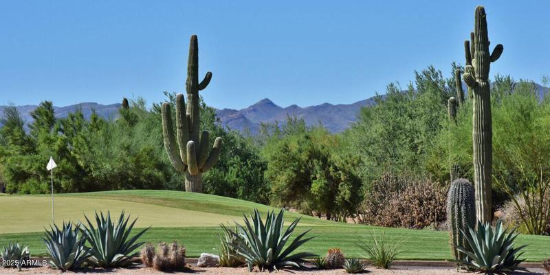 Tonto Golf Course Viewscc-2