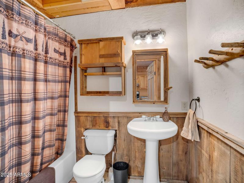 Downstairs Bathroom