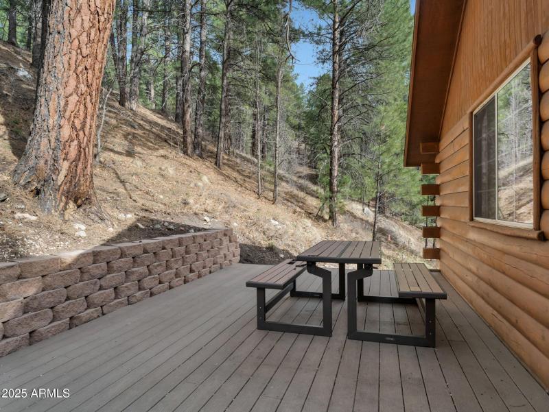 Back Deck