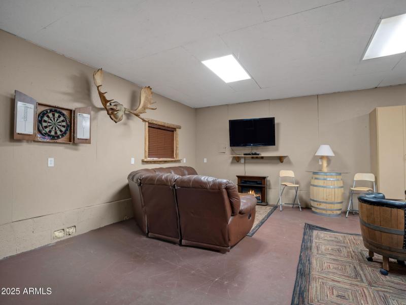REc Room Set up in the Garage