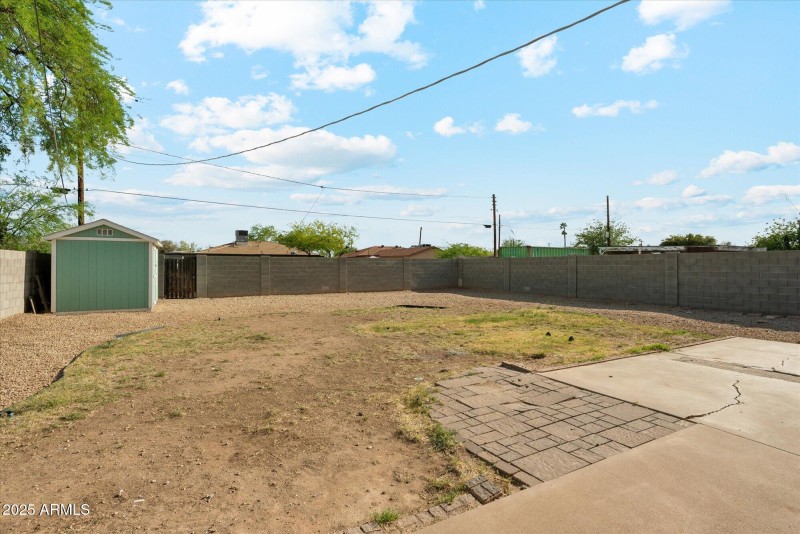 Backyard 5