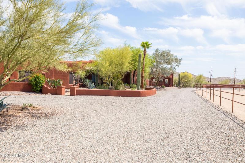 Desert Landscaping