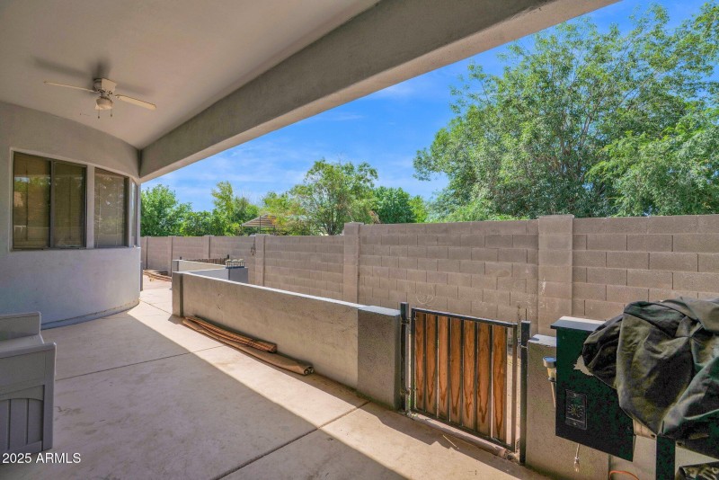31-web-or-mls-P1199955