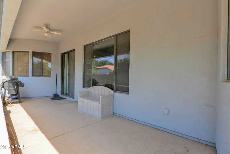 33-web-or-mls-P1199957