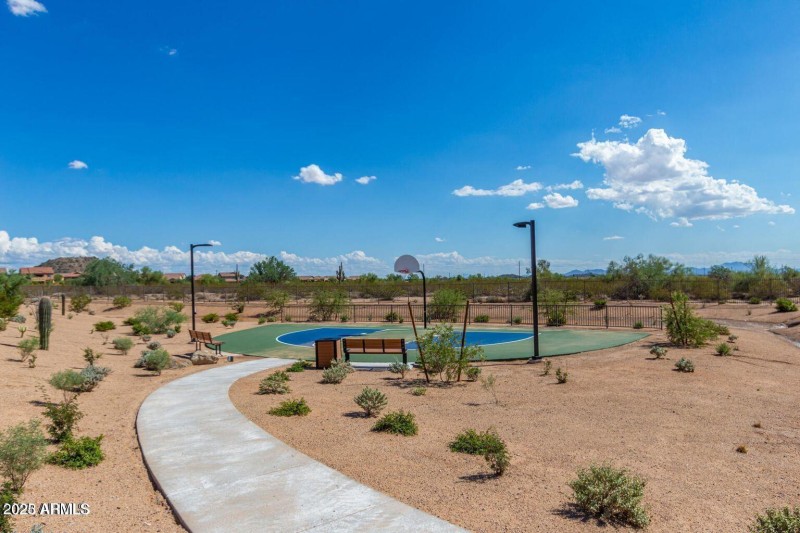 Basketball court