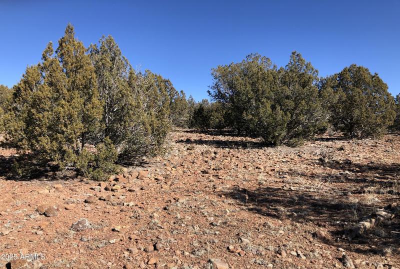 8531 N High Mountain RD