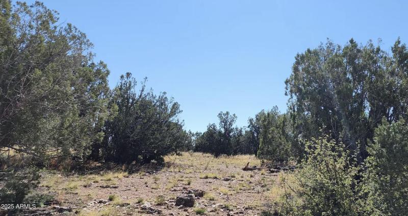 8641 N High Mountain RD