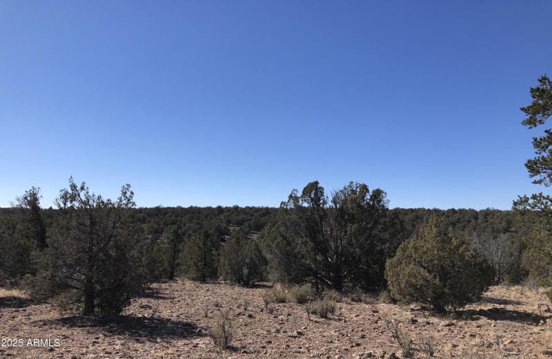 8711 N High Mountain RD