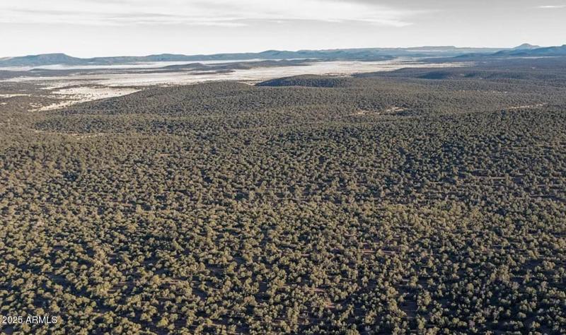 8711 N High Mountain RD