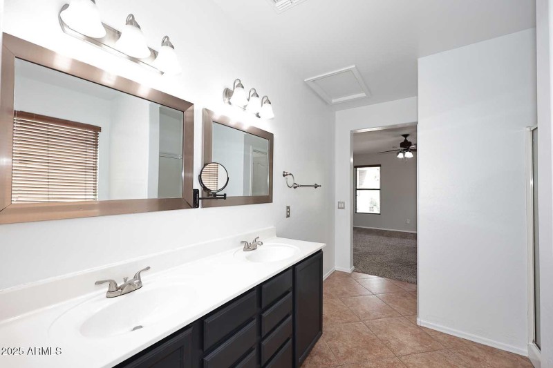 Primary Bath2