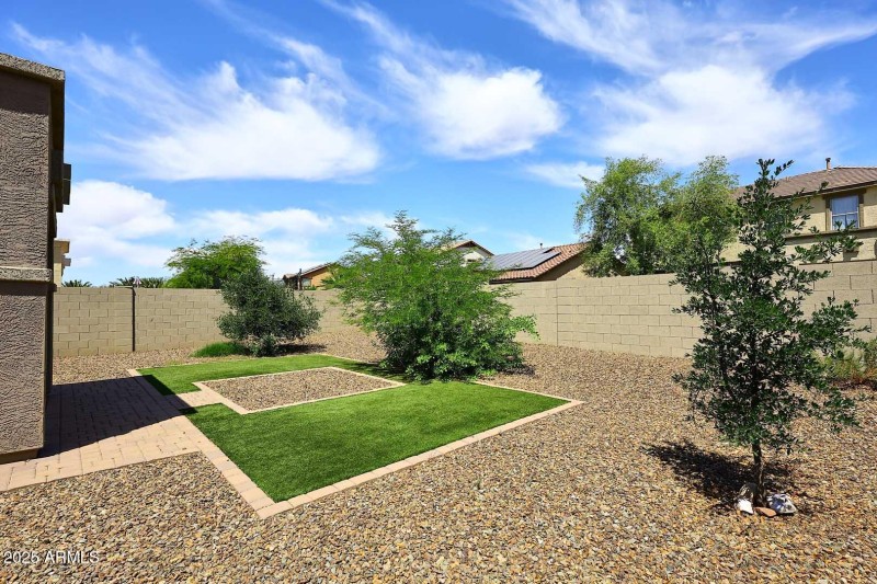 Backyard2