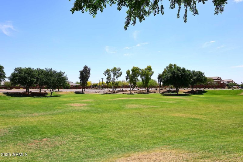 Community Park