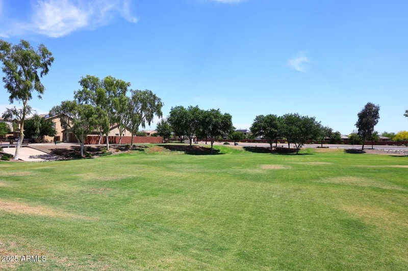 Community Park2