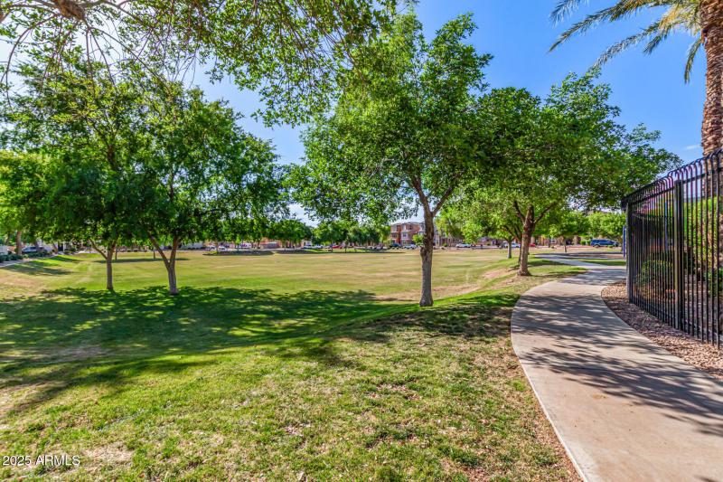 Community Park