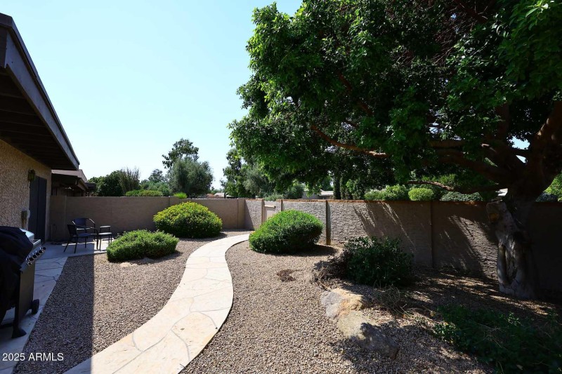 Backyard