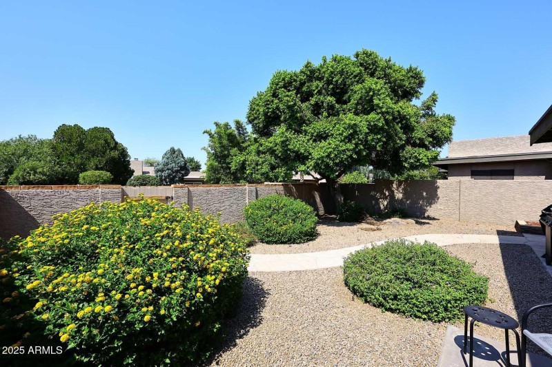 Backyard