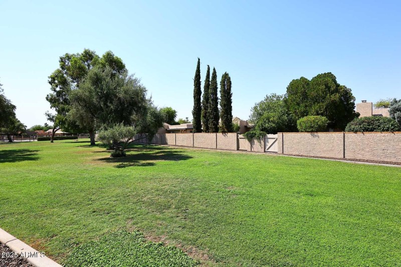Common Area behind Home