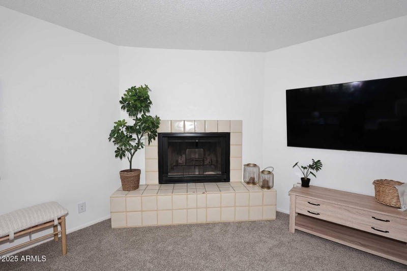 Living Room-Fireplace