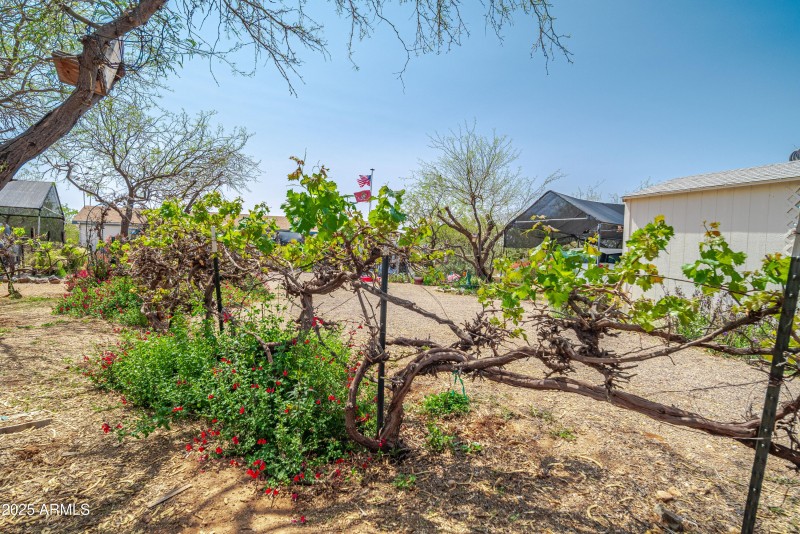 22780 W Sunrise Rd 00011