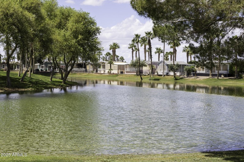 Palm Creek Community 11