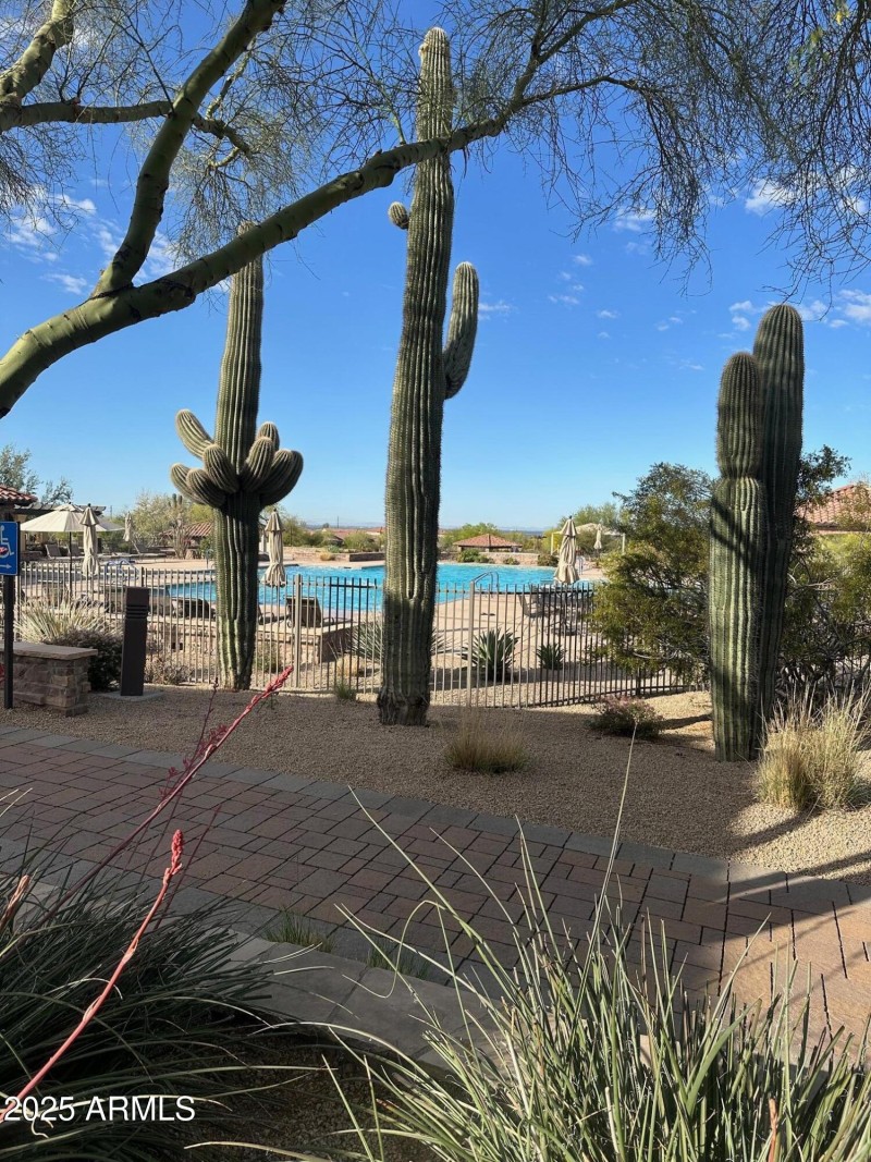 1 - community pool