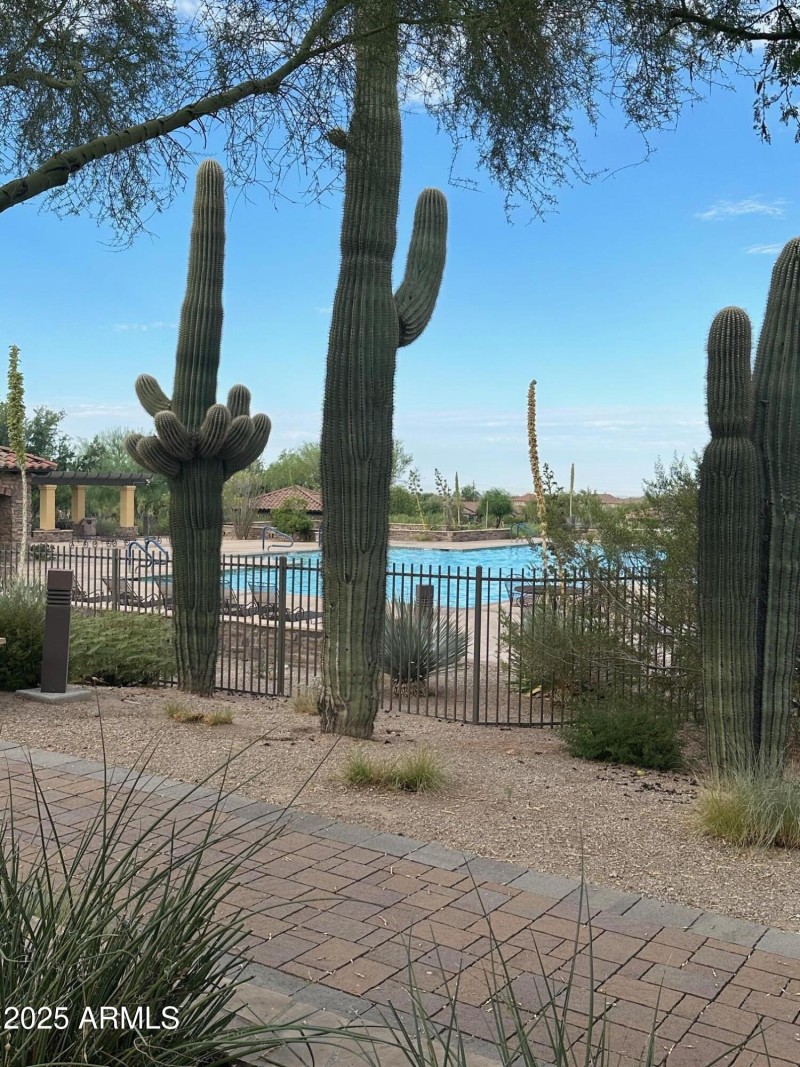 4 - community pool