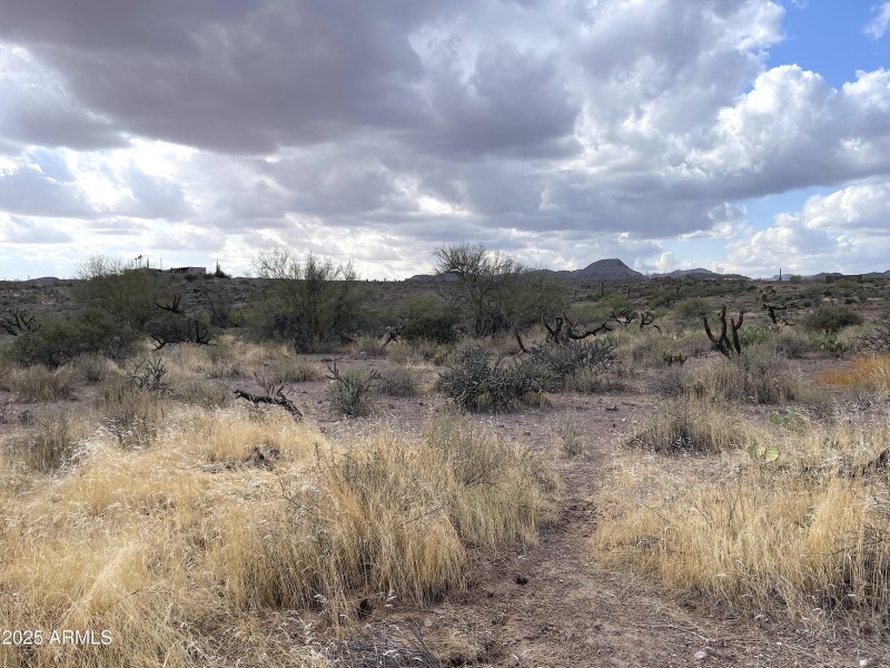 F view west