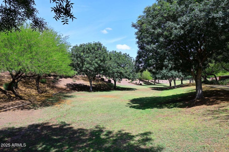 Community Park3