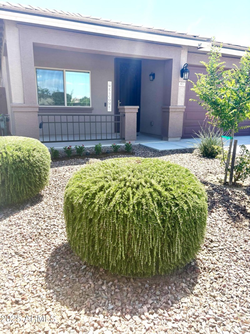 front yard