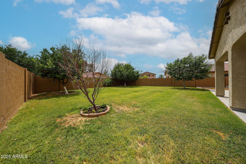 FRUIT TREES