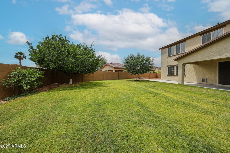 BACK YARD SPACIOUS