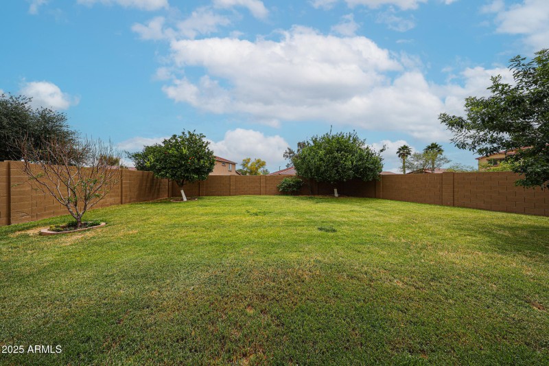BACK YARD