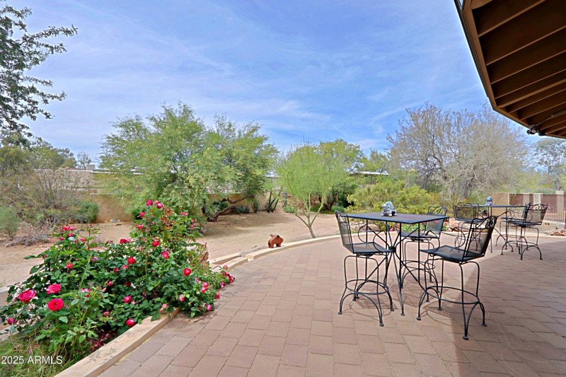 House - Backyard 1