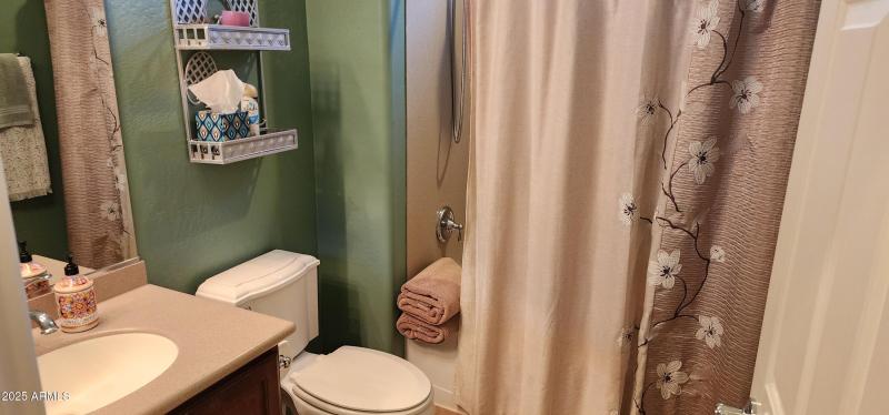 Guest bathroom