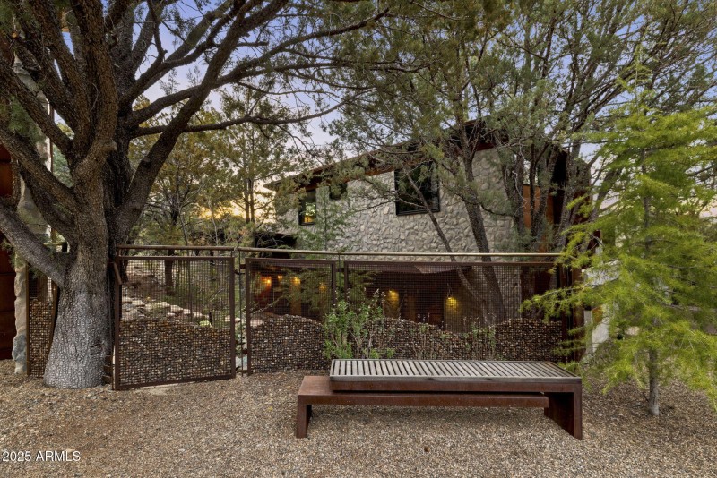 65-Backyard 1