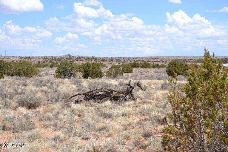 20250502202940528952000000-o