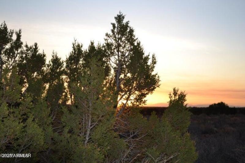 20250502203145568508000000-o