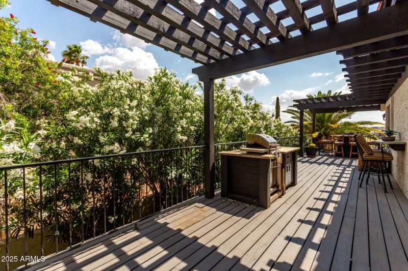 37 Backyard