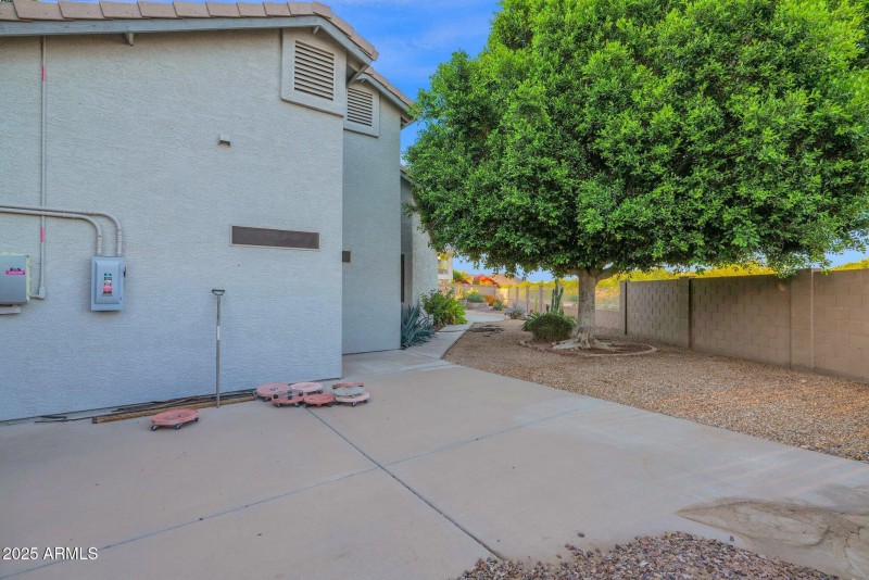 Backyard____