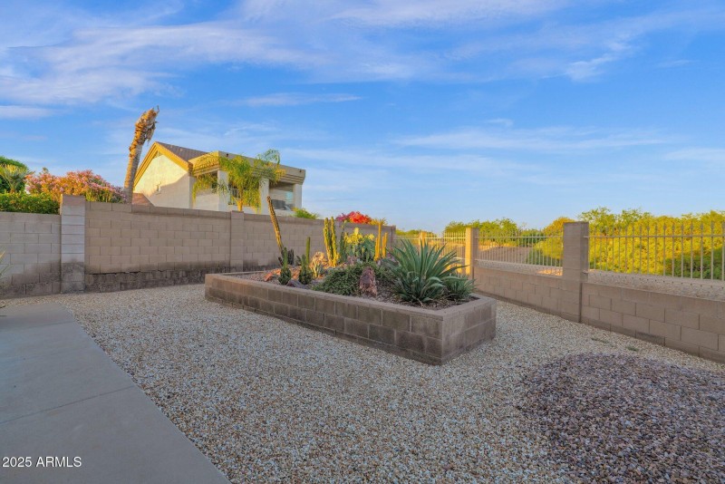 Backyard_____