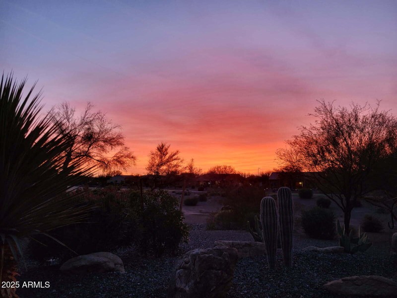 View From Patio