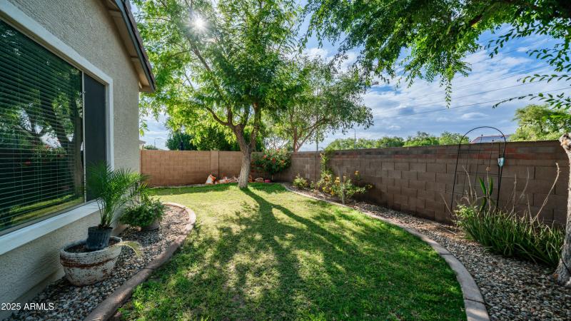 Lots of Grass for Kids or Pets to Play