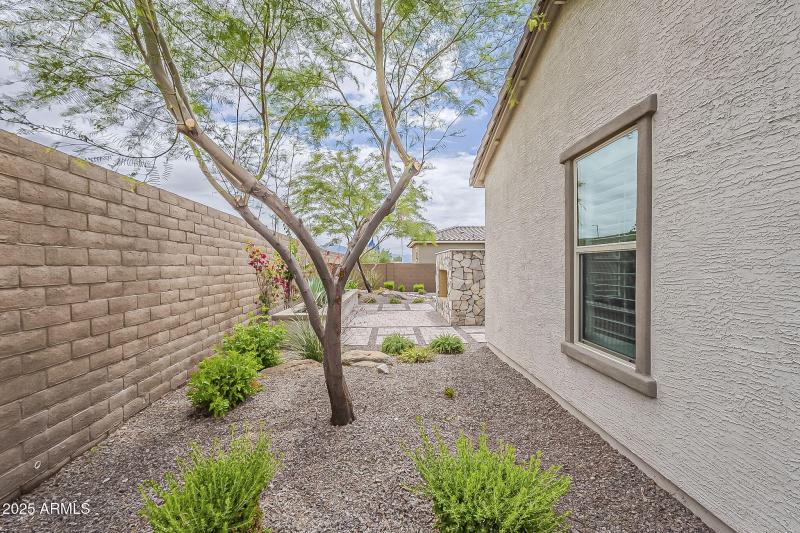 Side Yard