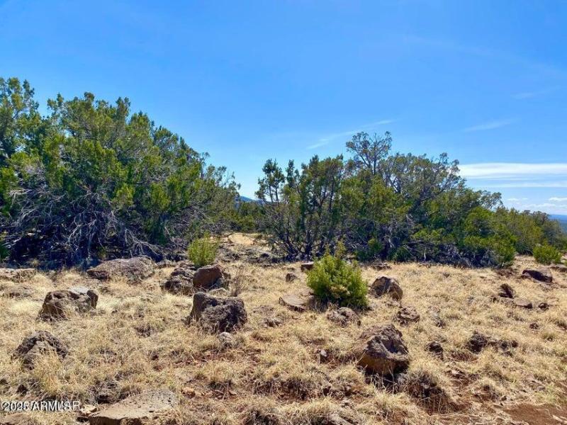 20250503072505727792000000-o