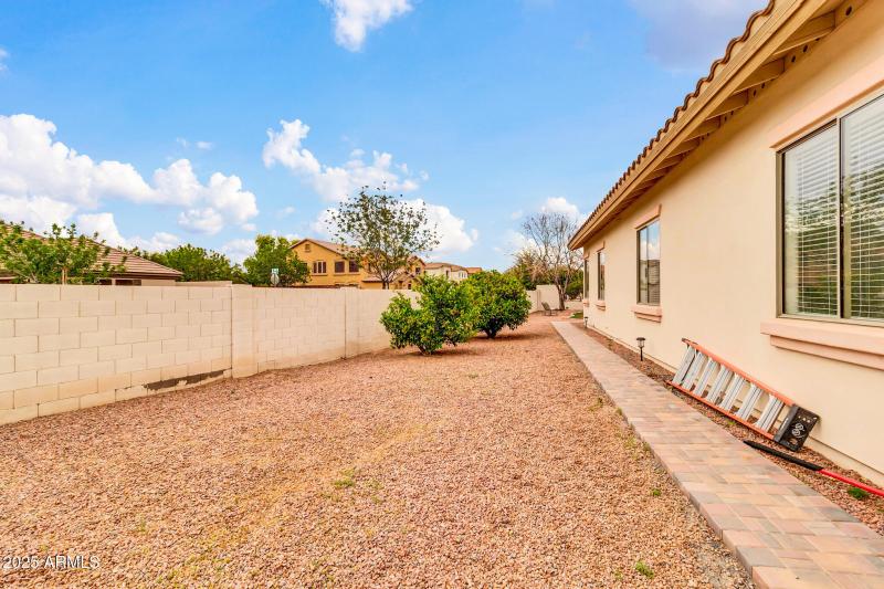 Large Side Yard with Citrus Trees