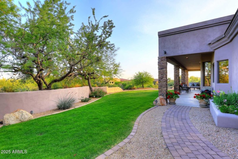 Backyard