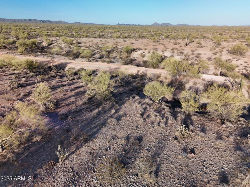 Maricopa 12