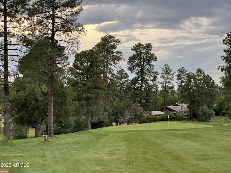 Bison Golf Club