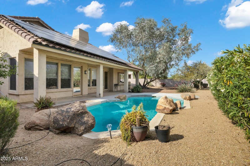 Desert Oasis!